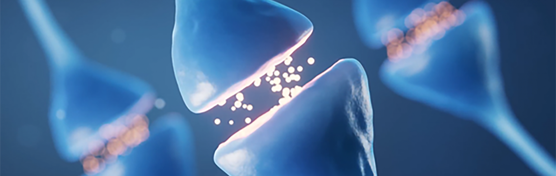 The function of our cells and the production of proteins depend on coordination among countless different molecules. In new research, Prof. Orna Elroy-Stein and her colleagues revealed what happens when one of the main orchestrators of protein production malfunctions