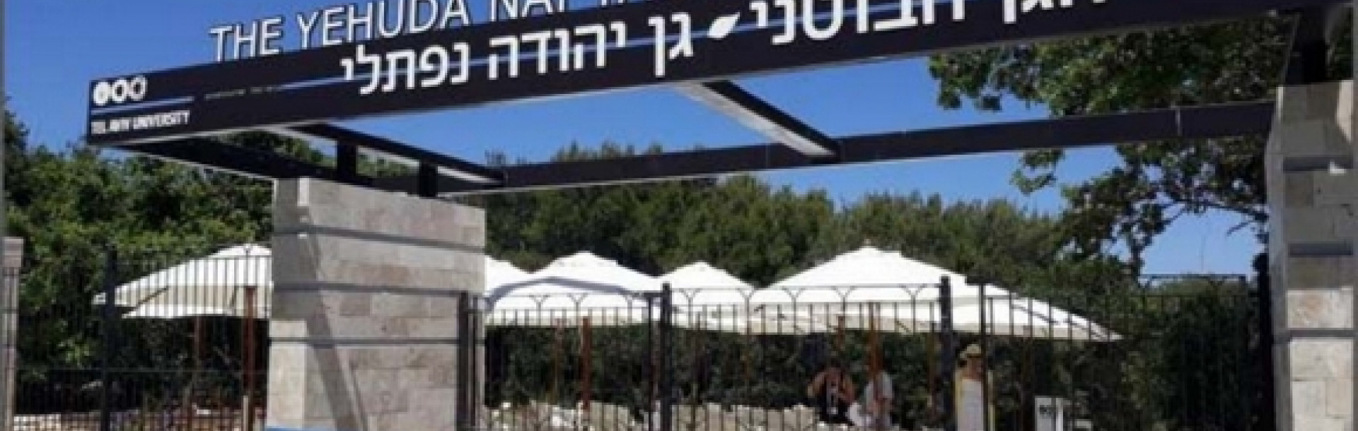 At the year 2019, the Tel Aviv University Botanical Garden was renamed, and now it is The Yehuda Naftali Botanical Garden. 