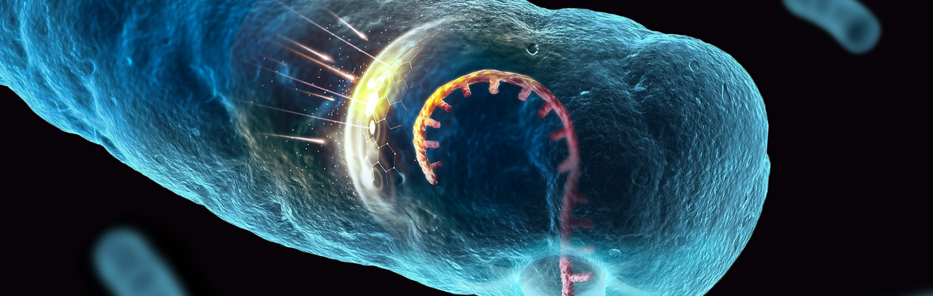 New research discovers how foreign DNA overcomes the bacterial defense systems. The discovery could be used to battle antibiotic resistance and for the manipulation of bacteria for health, industrial, and environmental purposes

