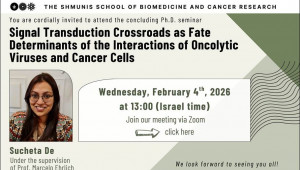 Sucheta De - Concluding Ph.D. Seminar