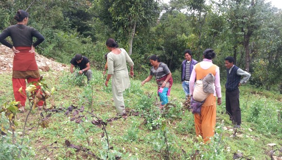 Field Research in Nepal