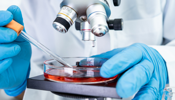 Biochemistry & Molecular Biology 
