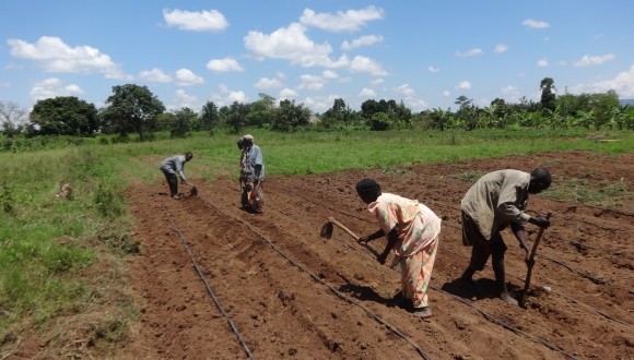 From Smallholder Challenge  to Agritech Solution - AGRIthon 2015