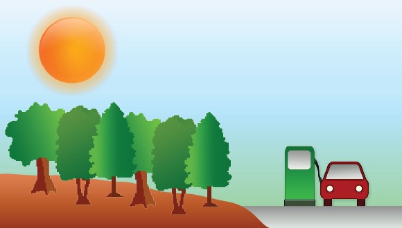 Bioeconomy workshop