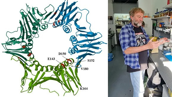 How to Copy Billions of Letters in a Couple of Hours? How to Copy Billions of Letters in a Couple of Hours?