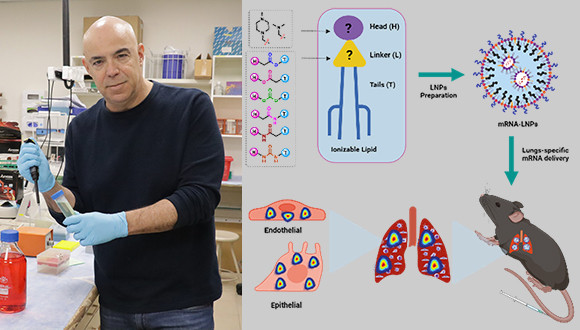 Electric Body Parts: Charged Nanoparticles Can Lead Medications to Specific Organs